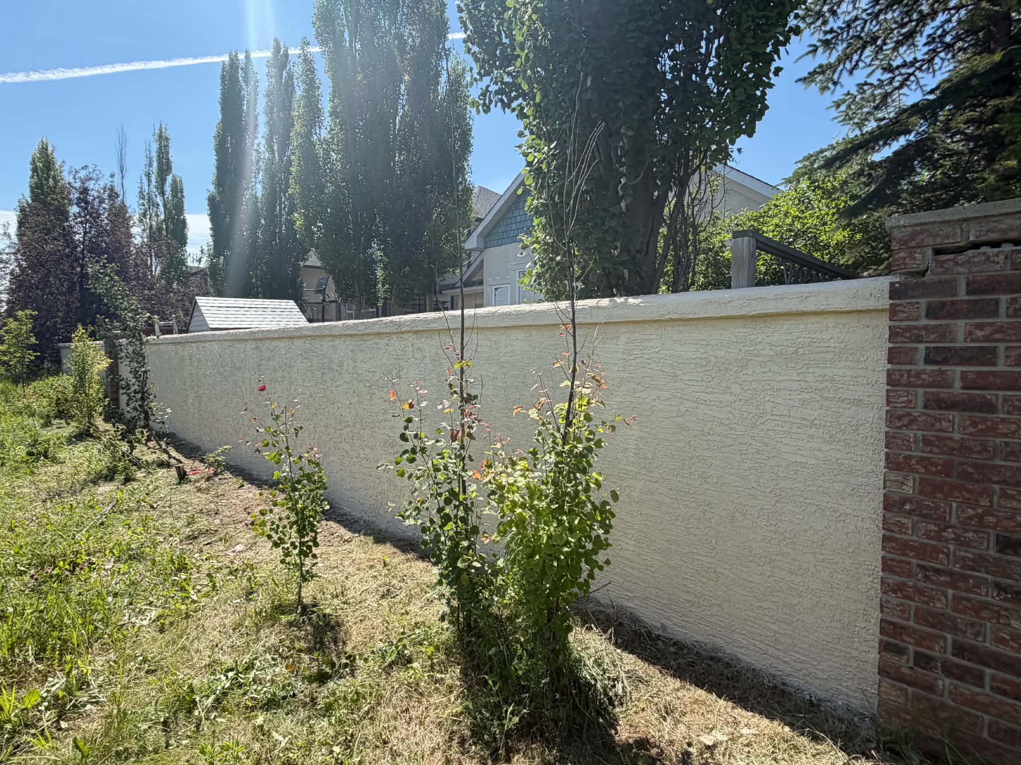 Long cream-coloured finished fence wall with a brick pillar in a yard
